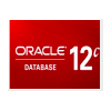 Oracle數(shù)據(jù)庫 Database 12c 企業(yè)版